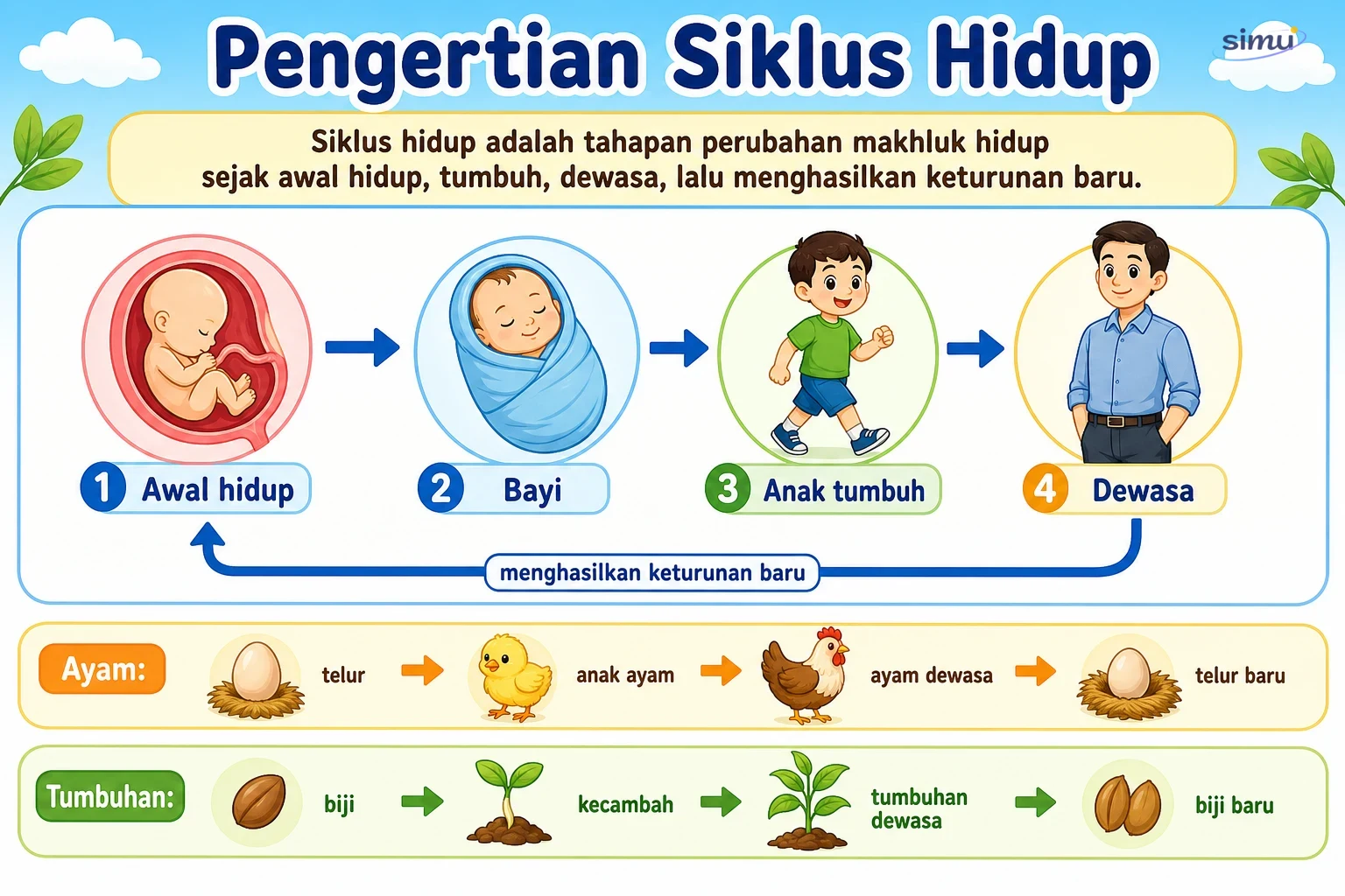 Pengertian siklus hidup