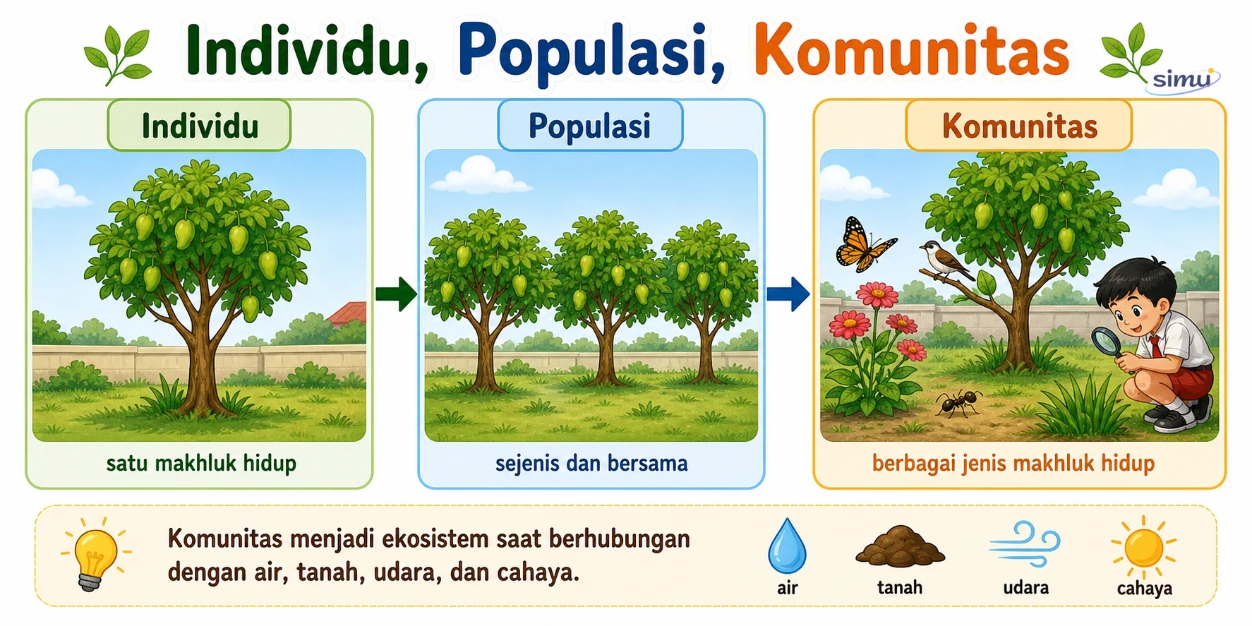 Individu populasi komunitas