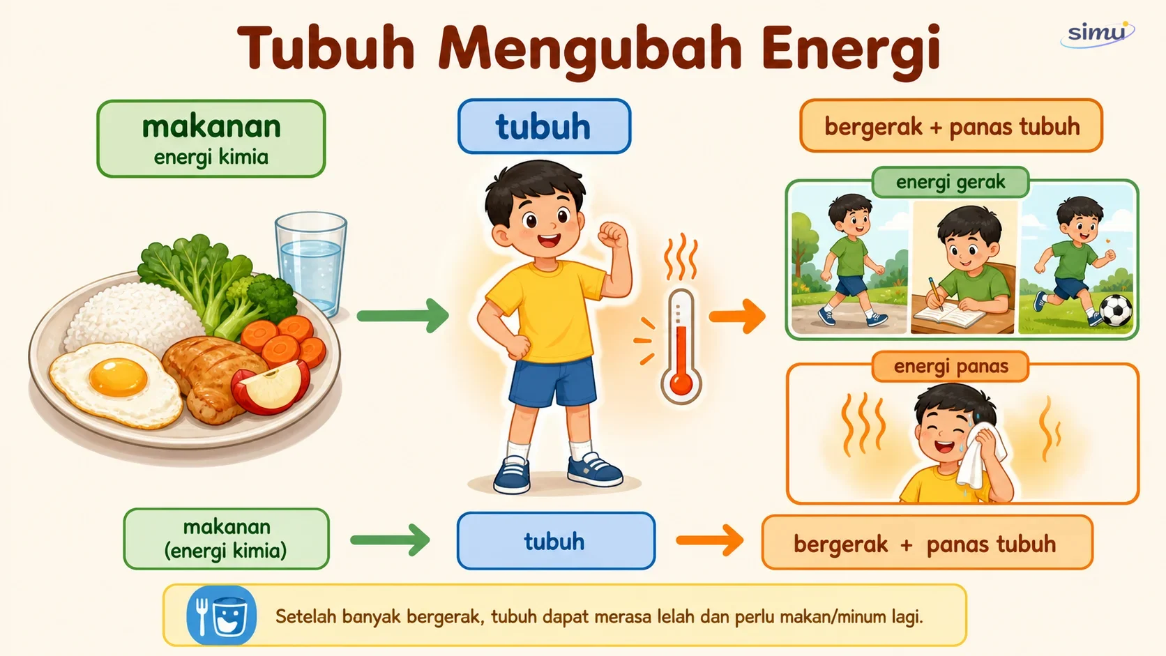 Tubuh mengubah energi