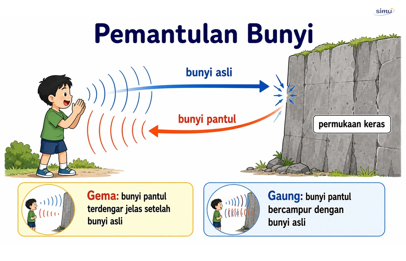 Pemantulan bunyi