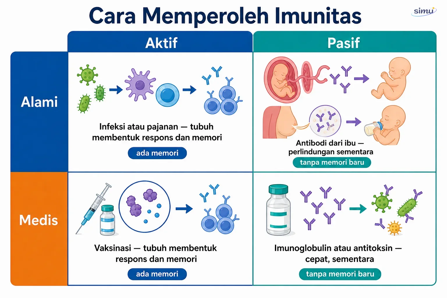 Perbandingan imunitas aktif dan pasif yang diperoleh secara alami atau melalui tindakan medis