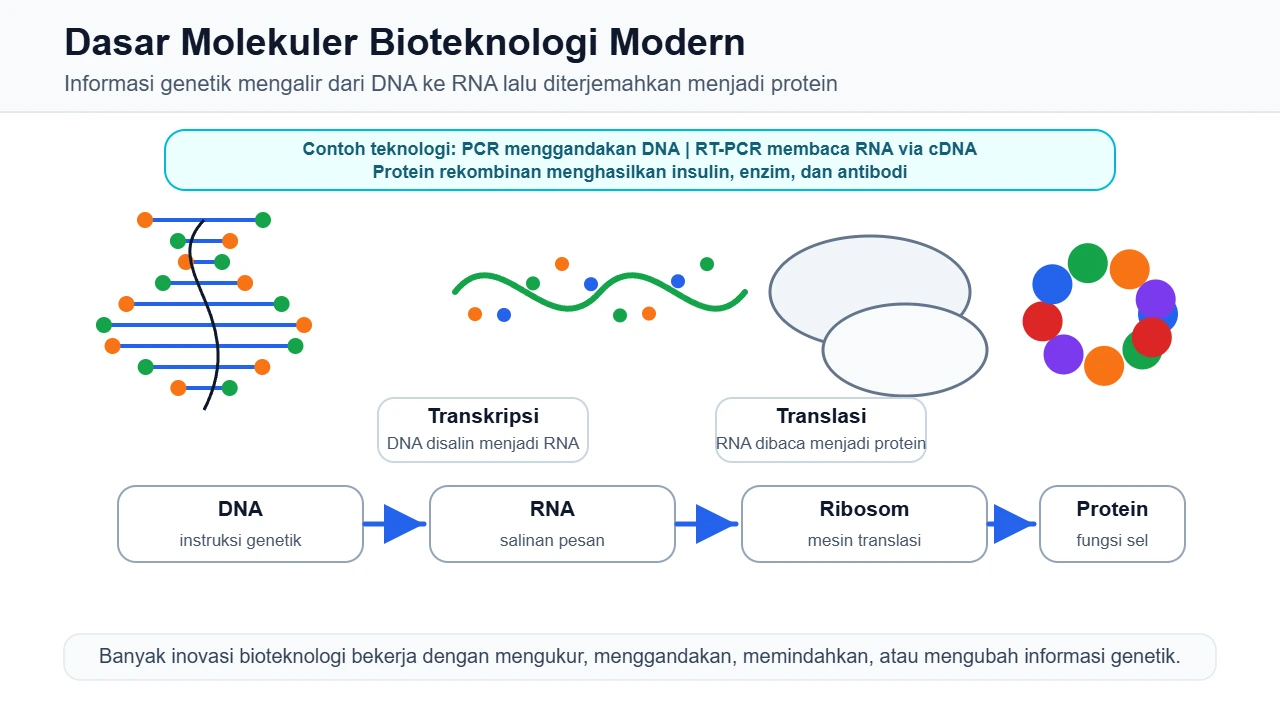 Alur informasi genetik dari DNA ke RNA lalu protein