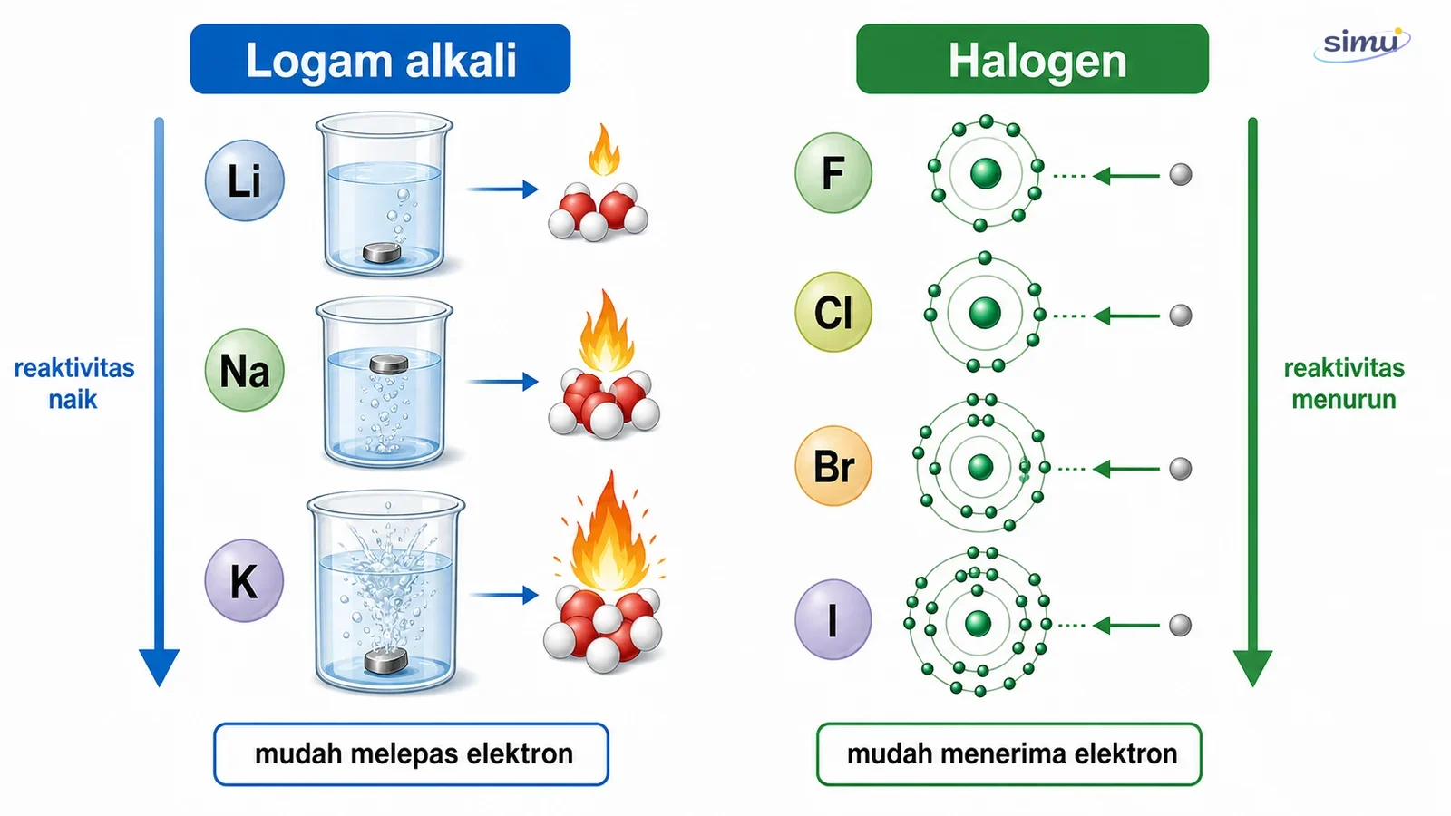 Perbandingan reaktivitas logam alkali dan halogen berdasarkan kecenderungan melepas atau menerima elektron