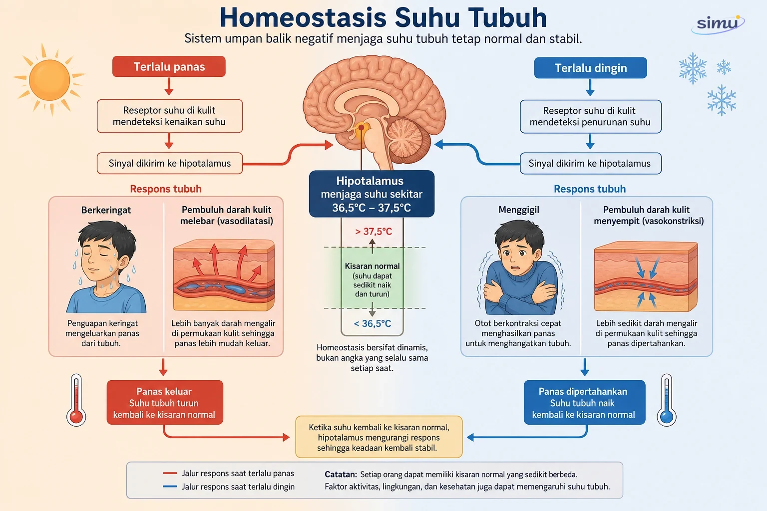 Homeostasis suhu tubuh