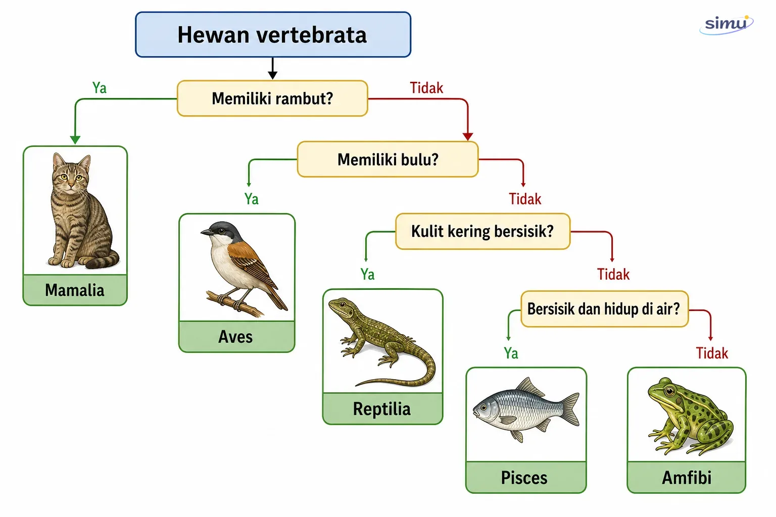 Contoh kunci dikotomi vertebrata