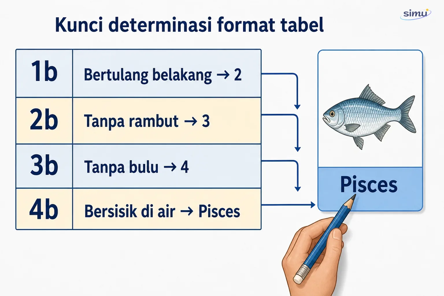 Contoh kunci determinasi format tabel